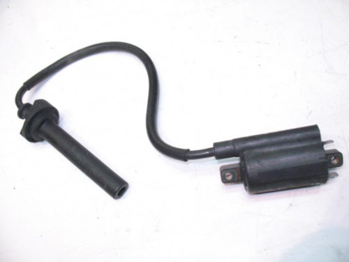 Bobine allumage YAMAHA TDM 900 2005-2006