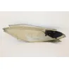 Coque arriere droit QUADRO D 350 2012 - 2013