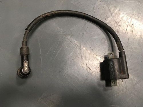Bobine allumage PEUGEOT XP6