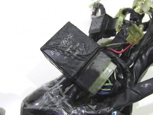 Faisceau electrique YAMAHA YZF 600 R 1996-2004 THUNDERCAT