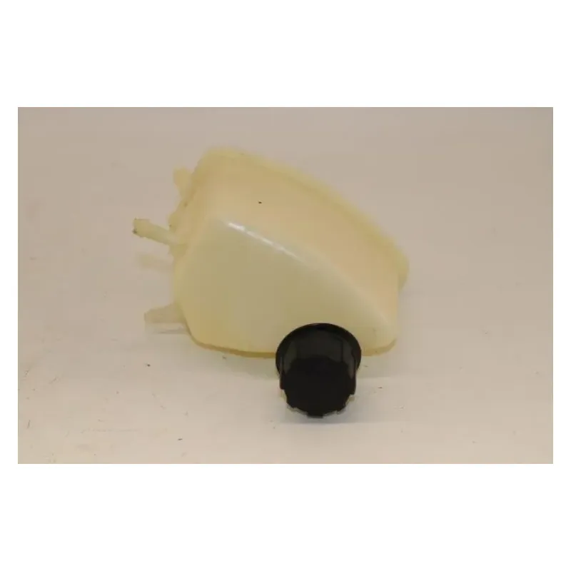Vase expansion PIAGGIO X8 125 2004 - 2007