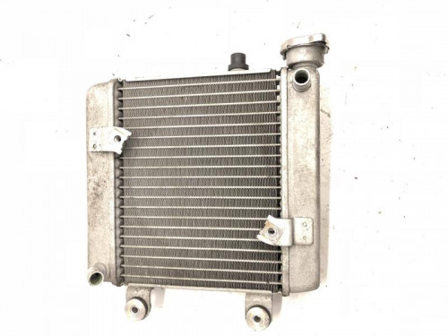 Radiateur eau HONDA FES 125 2007-2013 S-WING