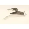 Habillage de reservoir PIAGGIO MP3 250 LT 2008 - 2009 Habillage de reservoir PIAGGIO MP3 250 LT 2008 - 2009