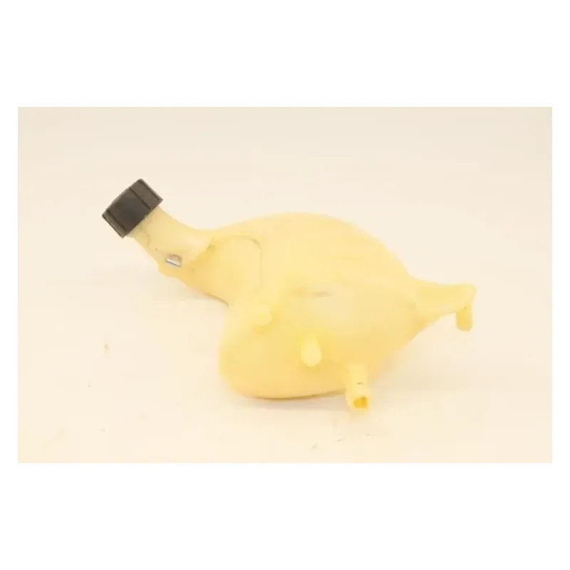 Vase expansion PIAGGIO MP3 250 LT 2008 - 2009
