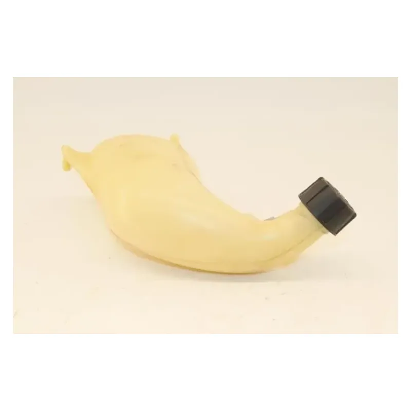 Vase expansion PIAGGIO MP3 250 LT 2008 - 2009