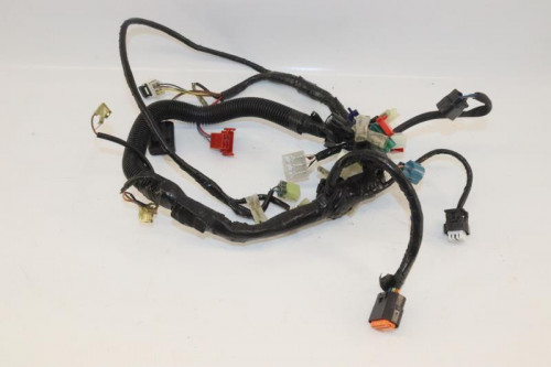 Faisceau electrique YAMAHA 125 YBR INJECTION 2007 - 2009