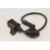 Bobine allumage PEUGEOT VIVACITY 50 1998 - 2007 Bobine allumage PEUGEOT VIVACITY 50 1998 - 2007