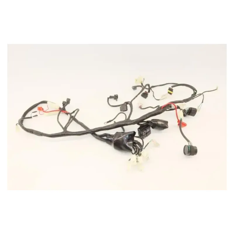 Faisceau electrique UB QT 50 2021 - 2022