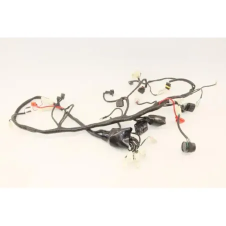 Faisceau electrique UB QT 50 2021 - 2022