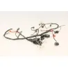 Faisceau electrique UB QT 50 2021 - 2022