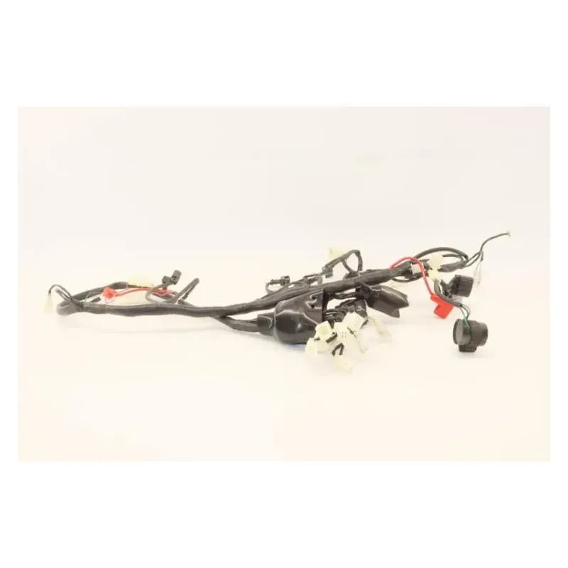 Faisceau electrique UB QT 50 2021 - 2022