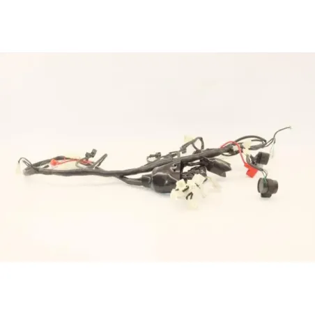 Faisceau electrique UB QT 50 2021 - 2022