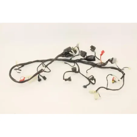 Faisceau electrique UB QT 50 2021 - 2022