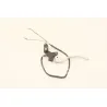 Cocotte d'embrayage gauche SYM JET 14 125 2018 - 2020