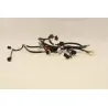 Faisceau electrique SYM ORBIT III 50 2018 - 2021