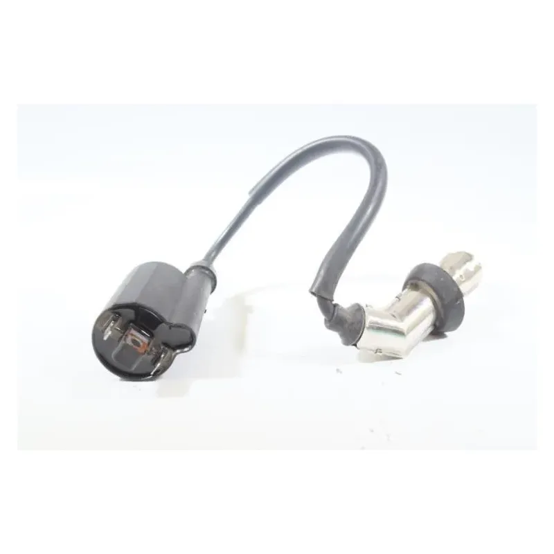 Bobine allumage PEUGEOT KISBEE 50 2010 - 2020
