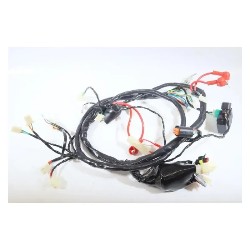 Faisceau electrique JM MOTORS EVOLIS 50 2020 - 2021