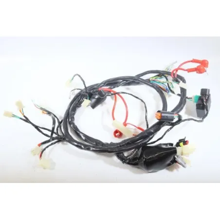 Faisceau electrique JM MOTORS EVOLIS 50 2020 - 2021