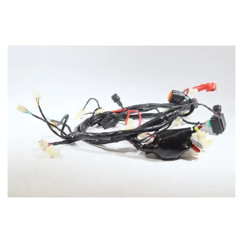 Faisceau electrique JM MOTORS EVOLIS 50 2020 - 2021