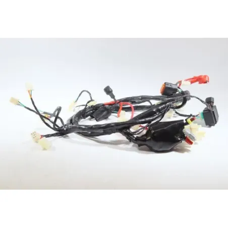 Faisceau electrique JM MOTORS EVOLIS 50 2020 - 2021