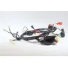 Faisceau electrique JM MOTORS EVOLIS 50 2020 - 2021