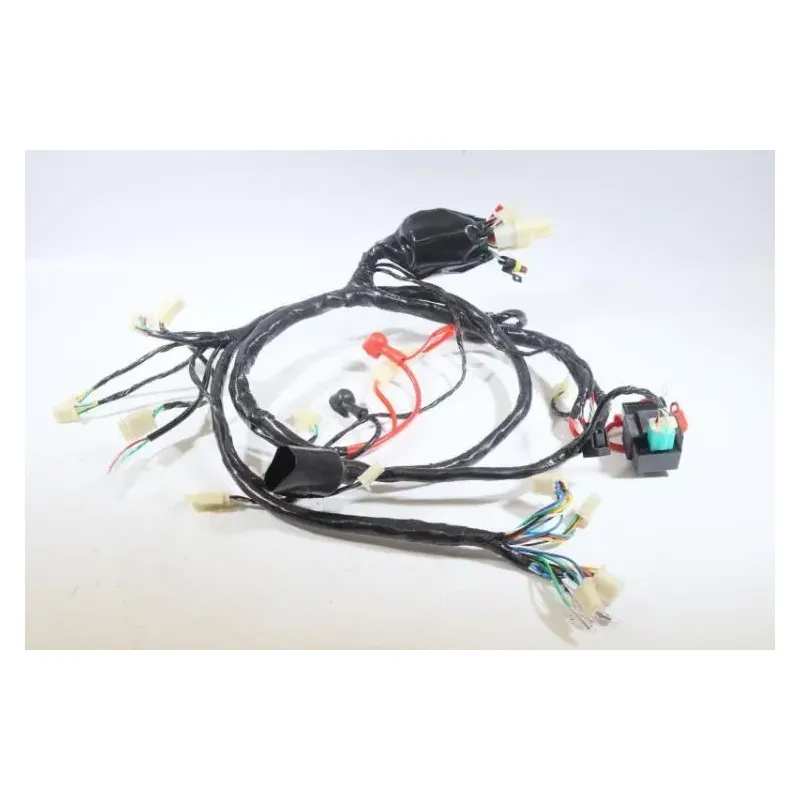 Faisceau electrique JM MOTORS EVOLIS 50 2020 - 2021