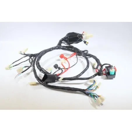 Faisceau electrique JM MOTORS EVOLIS 50 2020 - 2021