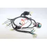 Faisceau electrique JM MOTORS EVOLIS 50 2020 - 2021