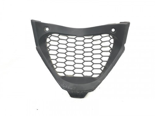 Grille de radiateur APRILIA RS4 50 2011-2016