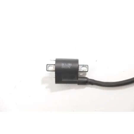 Bobine allumage TNT MOTOR HALO 50 2019 - 2021