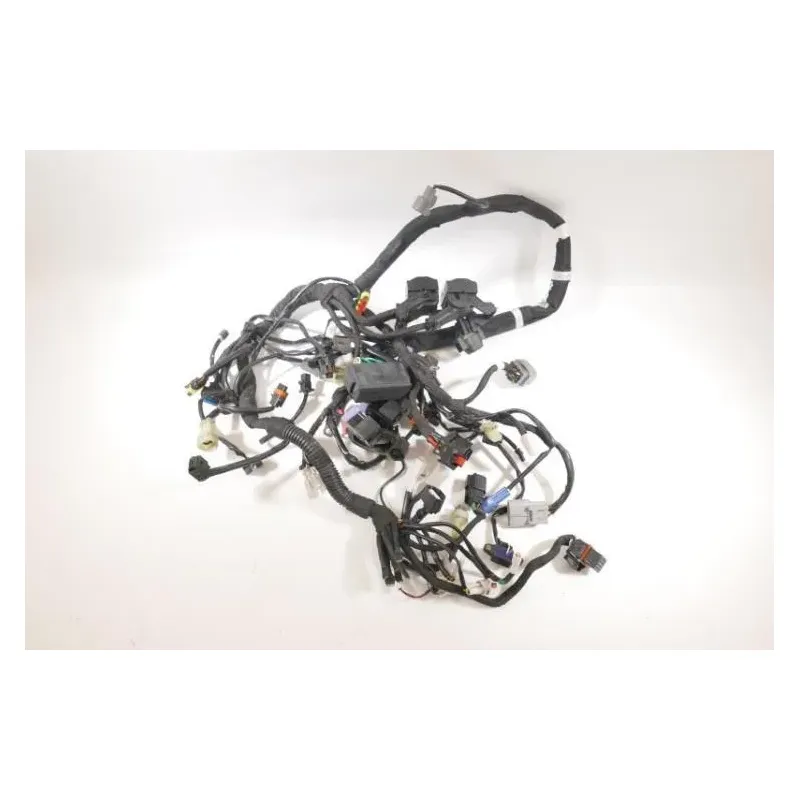 Faisceau electrique KTM DUKE 790 ABS 2018 - 2020