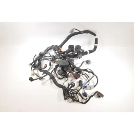 Faisceau electrique KTM DUKE 790 ABS 2018 - 2020
