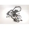 Faisceau electrique KTM DUKE 790 ABS 2018 - 2020