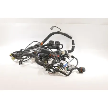 Faisceau electrique KTM DUKE 790 ABS 2018 - 2020