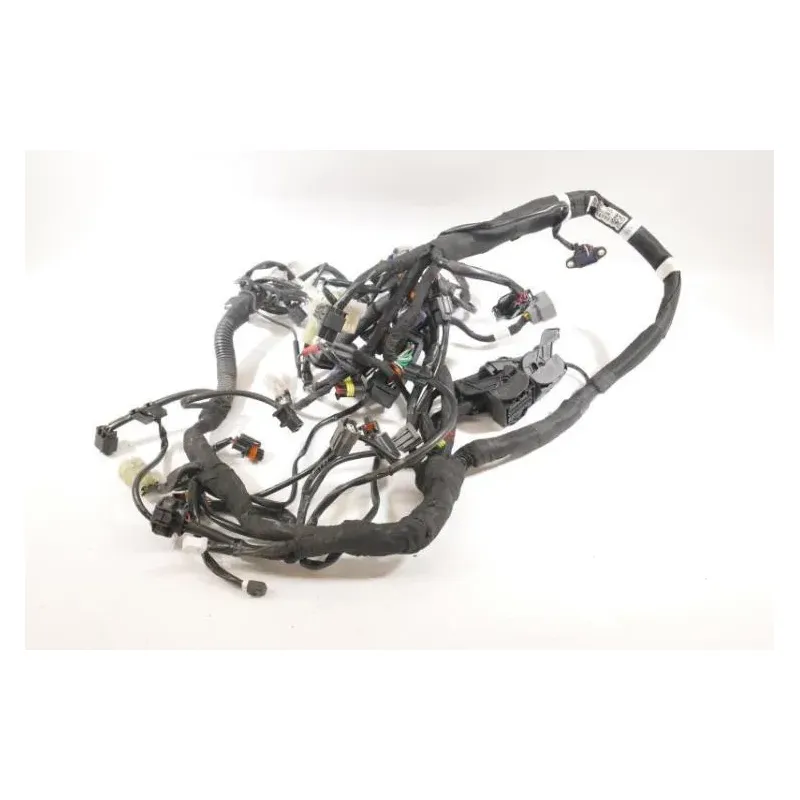 Faisceau electrique KTM DUKE 790 ABS 2018 - 2020