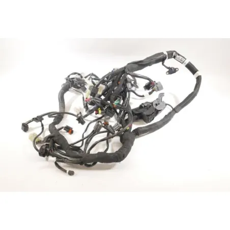 Faisceau electrique KTM DUKE 790 ABS 2018 - 2020