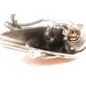 Feu arriere gauche YAMAHA YPR 125 XMAX 2006 - 2009 Feu arriere gauche YAMAHA YPR 125 XMAX 2006 - 2009