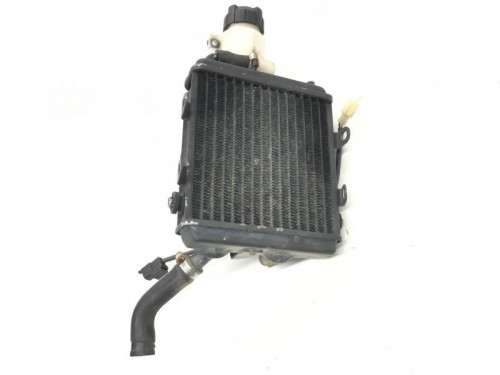 Radiateur eau HONDA TLR 260 F 1994-1996