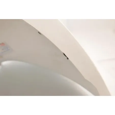 Habillage de reservoir PIAGGIO LIBERTY 50 2021 - 2022