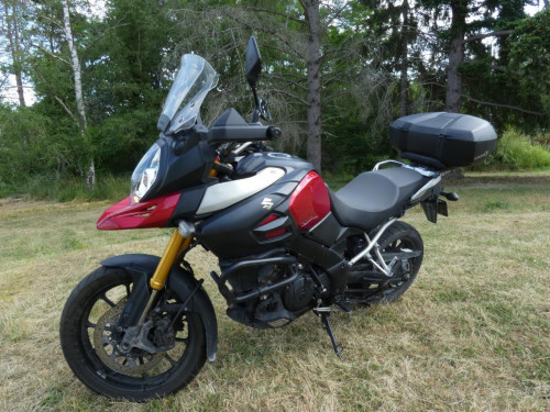 SUZUKI 1000 DL