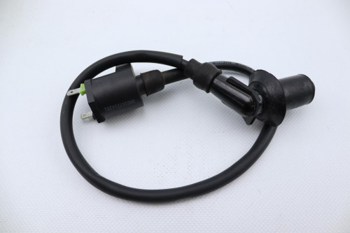 Bobine allumage JM MOTORS 50 SANTANA RS 2022 - 2023