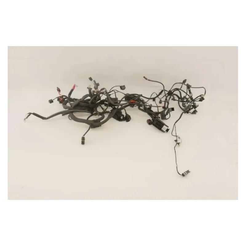 Faisceau electrique BMW F 800 GT 2015 - 2020