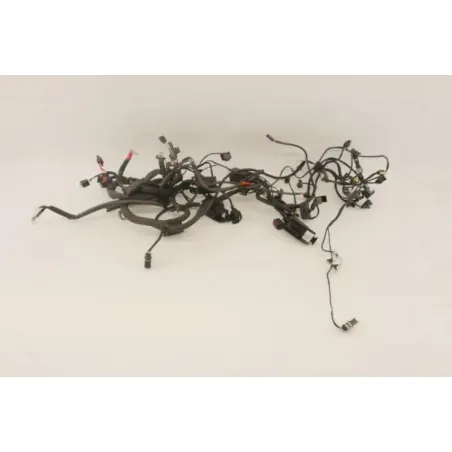 Faisceau electrique BMW F 800 GT 2015 - 2020