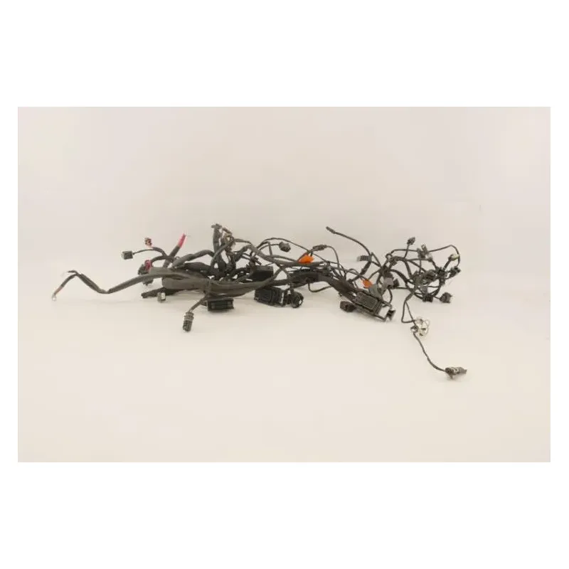 Faisceau electrique BMW F 800 GT 2015 - 2020