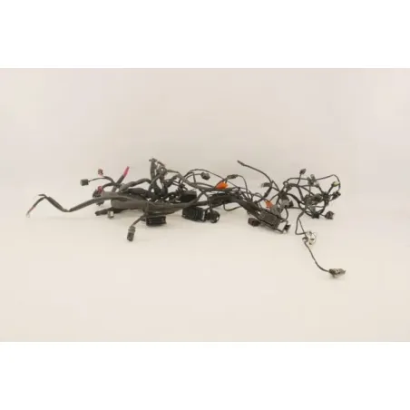 Faisceau electrique BMW F 800 GT 2015 - 2020