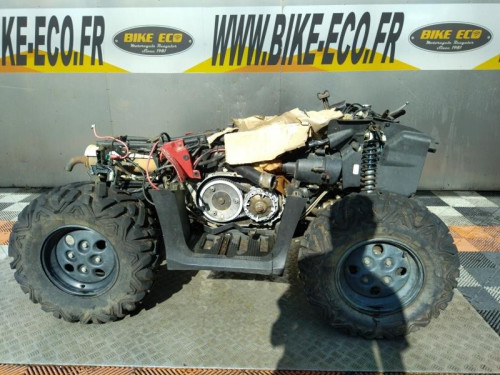 ARTIC CAT 450