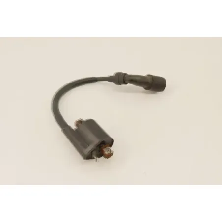 Bobine allumage YAMAHA YP 125 MAJESTY 2003 - 2006