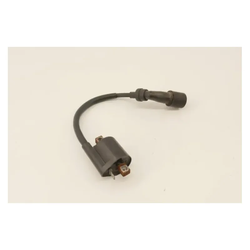 Bobine allumage YAMAHA YP 125 MAJESTY 2003 - 2006