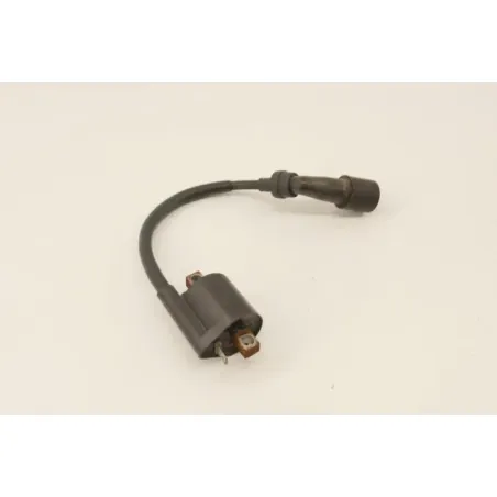 Bobine allumage YAMAHA YP 125 MAJESTY 2003 - 2006