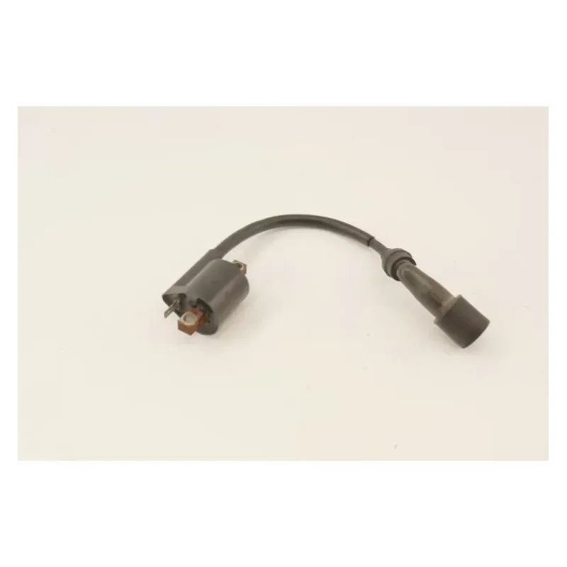 Bobine allumage YAMAHA YP 125 MAJESTY 2003 - 2006